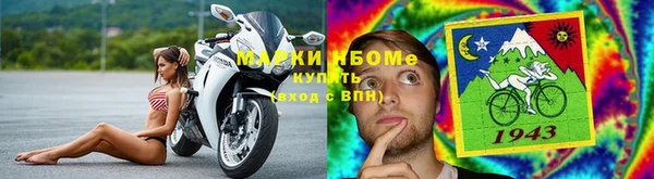 spice Аркадак