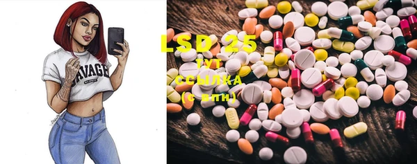 spice Аркадак