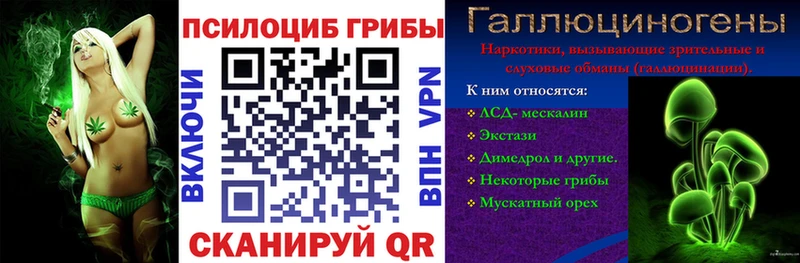 Псилоцибиновые грибы Psilocybe  хочу   Усть-Илимск 